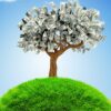 money-growing-on-trees