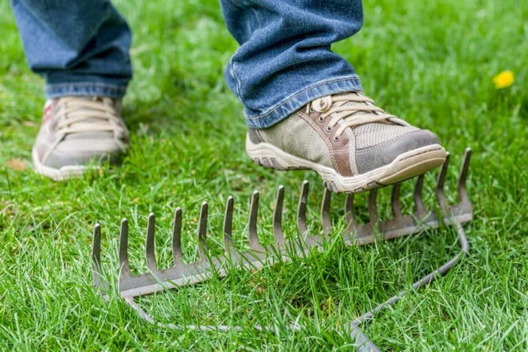 step on a rake - The Sales Vault - The Sales Vault Person wearing jeans steps on a metal garden rake on green grass outdoors.