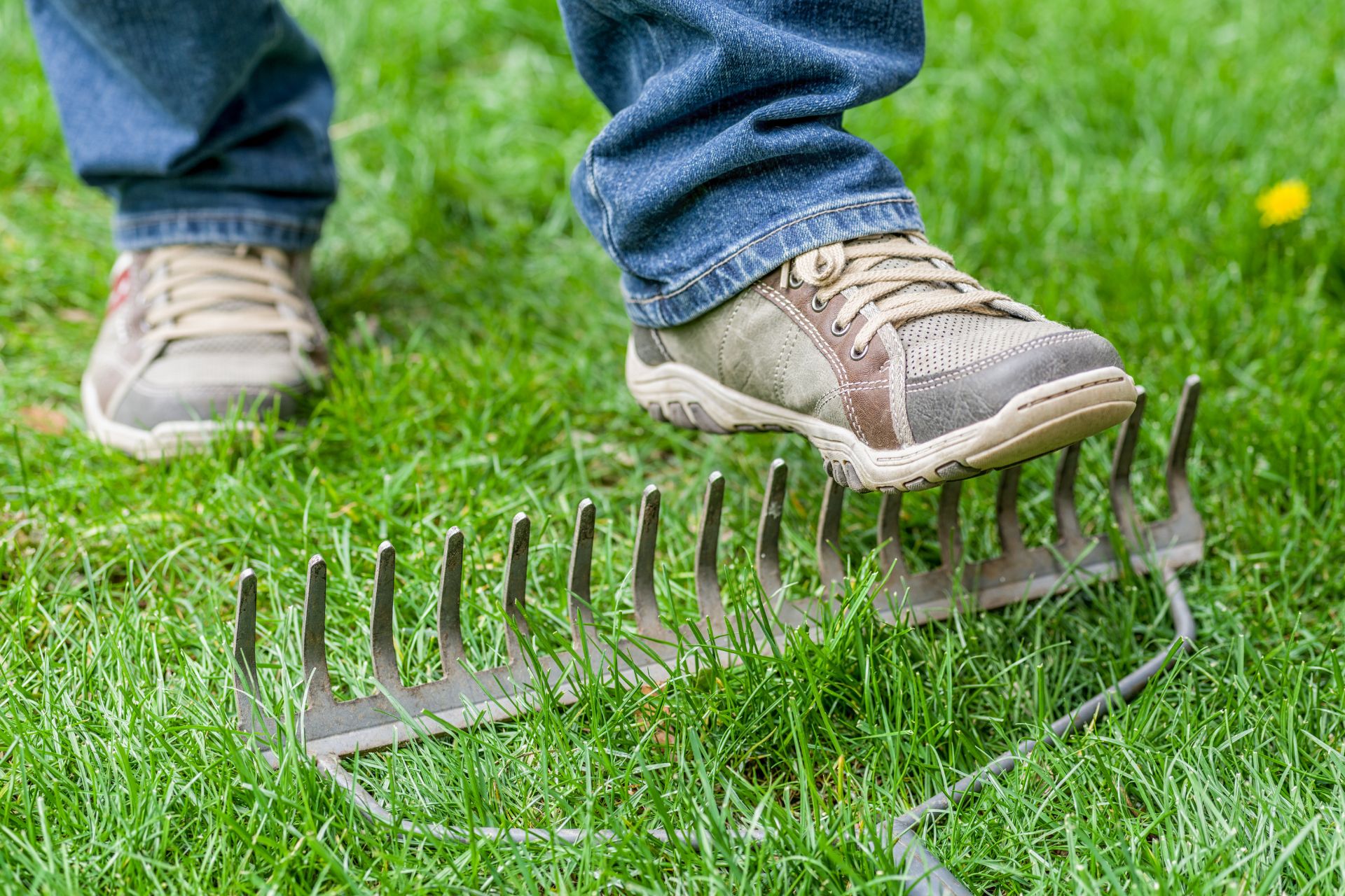 step on a rake - The Sales Vault - The Sales Vault Person wearing jeans steps on a metal garden rake on green grass outdoors.